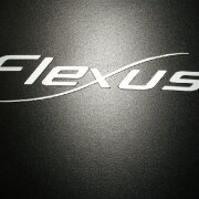 логотип солярия флексус